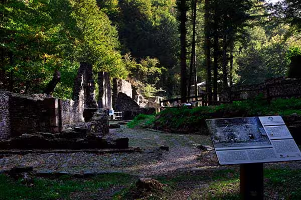 Bosque de Quinto Real en Navarra: Rutas de senderismo y hayedos. 4 Espacios naturales - Fábrica de armas de Eugi