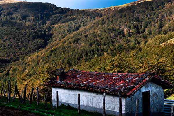 Bosque de Quinto Real en Navarra: Rutas de senderismo y hayedos. 2 espacios naturales quinto real 3